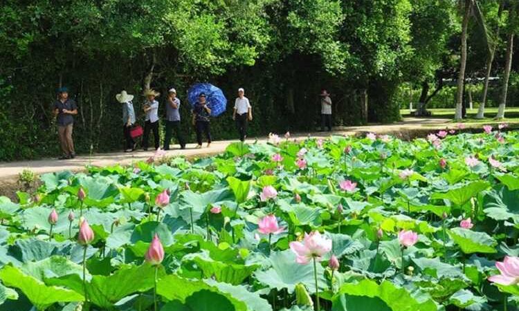 Hướng dẫn gọi xe từ sân bay Nội Bài đi Làng Sen quê Bác